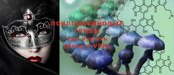 PSILOCYBIN Нягань