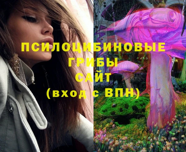 PSILOCYBIN Нягань