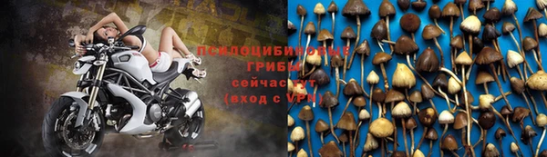 mdma Нязепетровск
