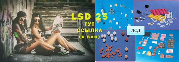 PSILOCYBIN Нягань