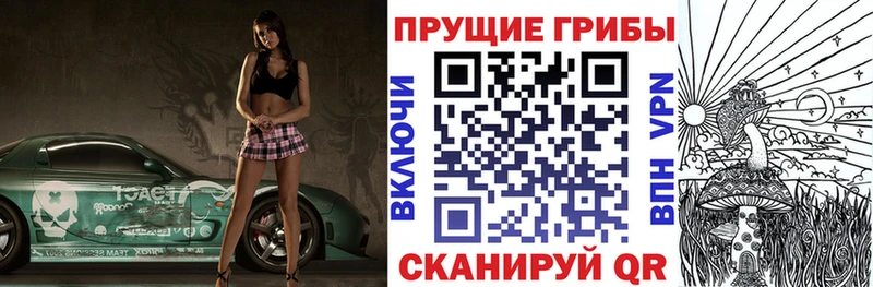 Галлюциногенные грибы GOLDEN TEACHER  Санкт-Петербург 