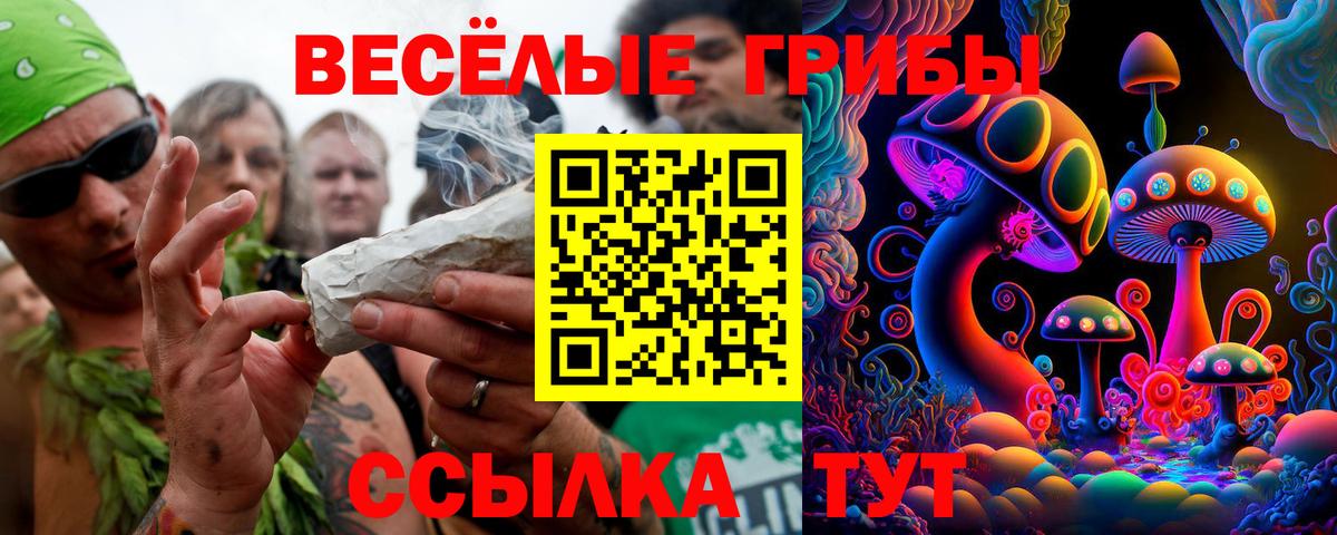 Галлюциногенные грибы Cubensis  где купить   Санкт-Петербург 