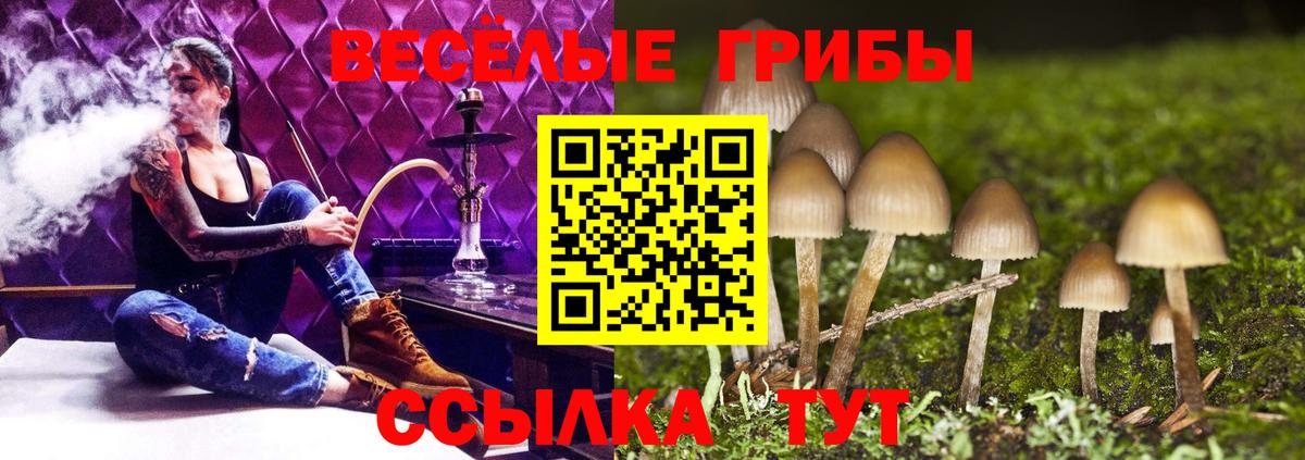 Галлюциногенные грибы GOLDEN TEACHER Санкт-Петербург