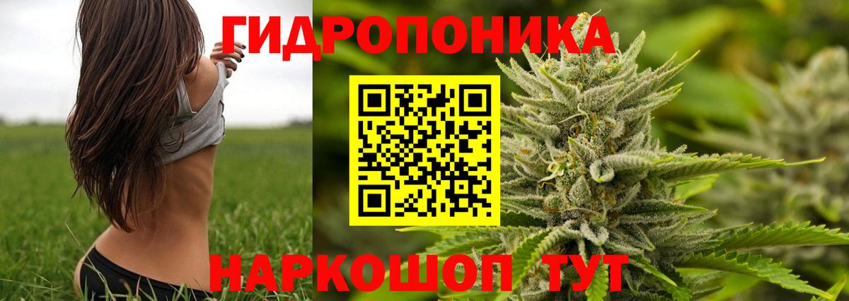 Бошки марихуана White Widow  Вход с VPN  Санкт-Петербург  Конопля семена 
