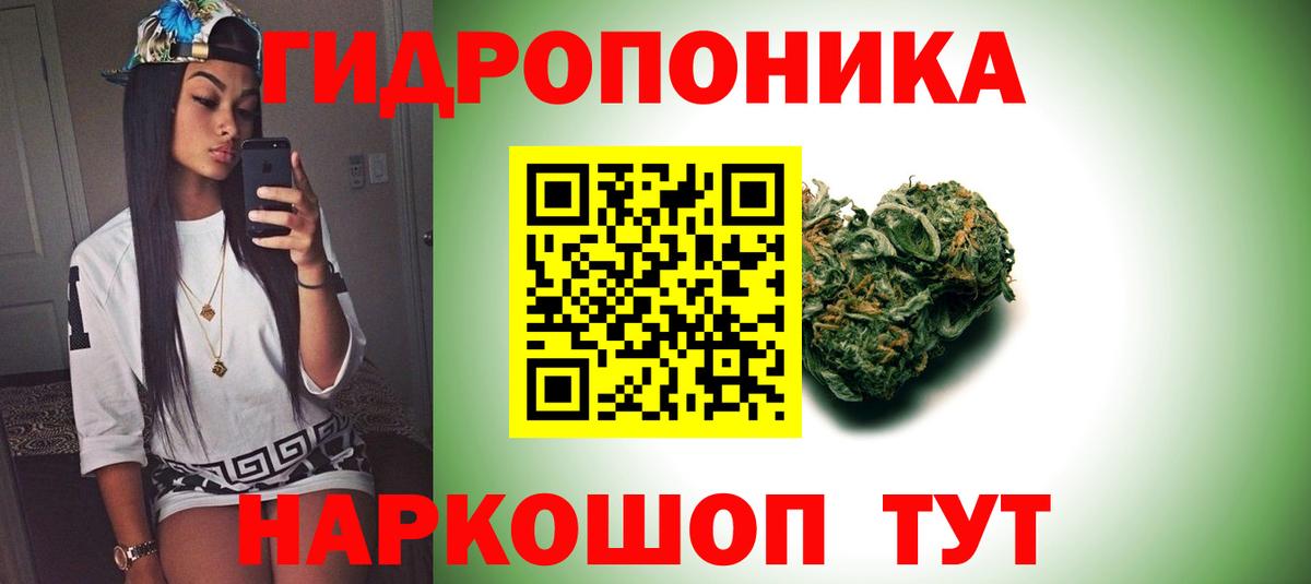 Конопля индика Санкт-Петербург