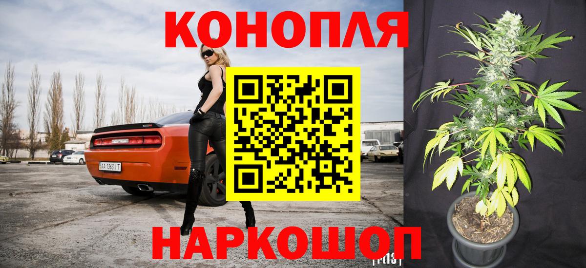 Канабис MAZAR  Каннабис план  Санкт-Петербург  МАРИХУАНА VHQ 